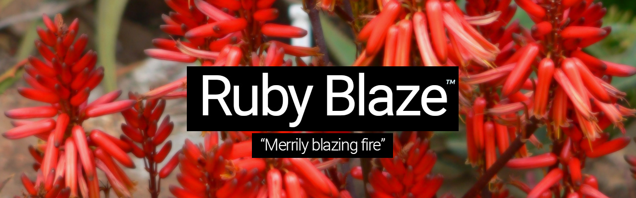 Ruby Blaze - Merrily blazing fire
