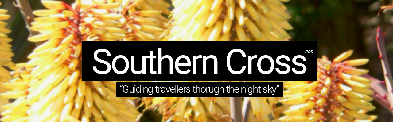 Southern Cross - Guiding travellers through the night sky