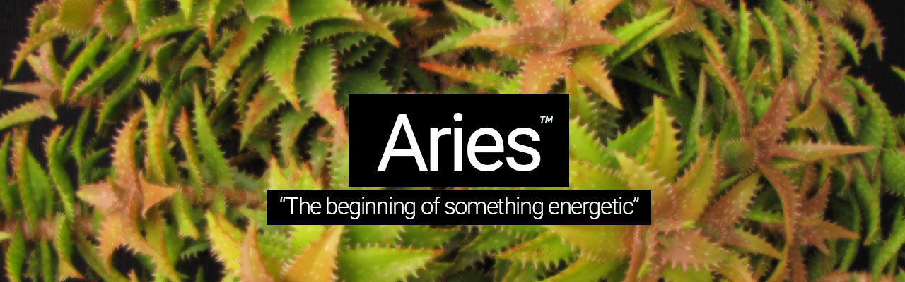 Aries - The beginning of something energetic