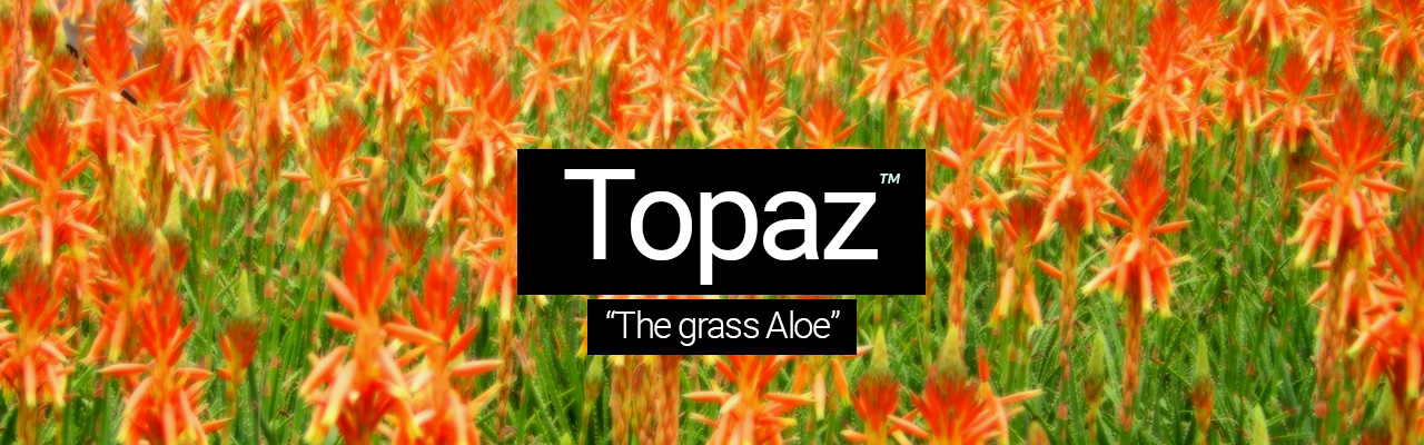 Topaz - The grass Aloe