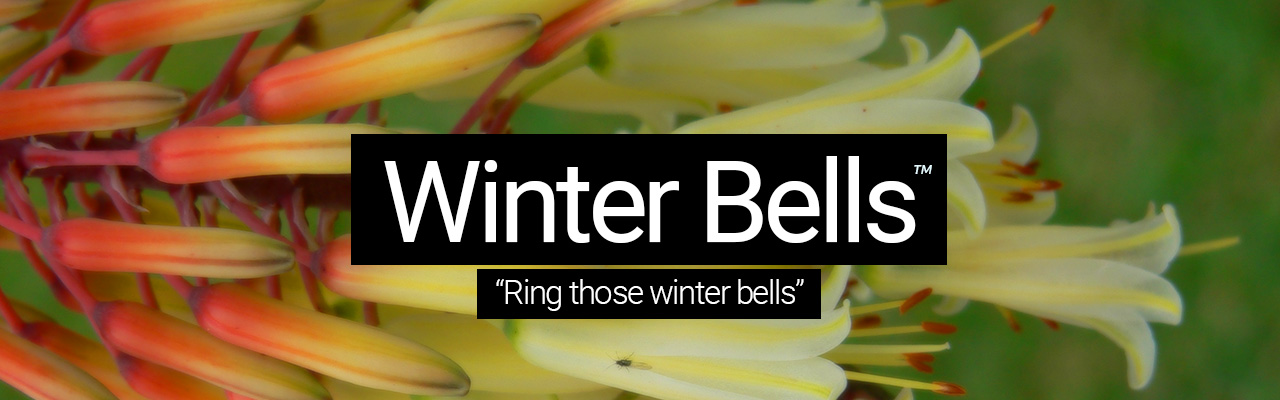 Winter Bells - Ring those winter bells