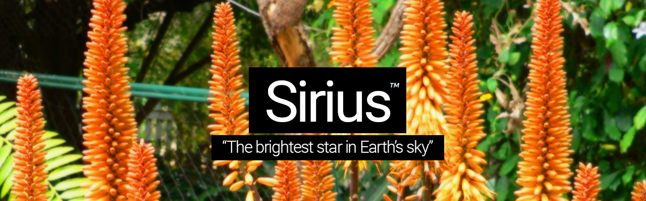 Sirius - The brightest star in Earths sky