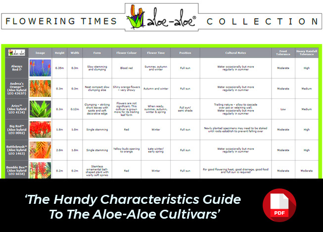 Aloe Flowering Times Characteristics Guide